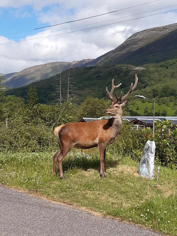 Etive Pod, West Highland Way Holidays Kinlochleven Luaran gambar