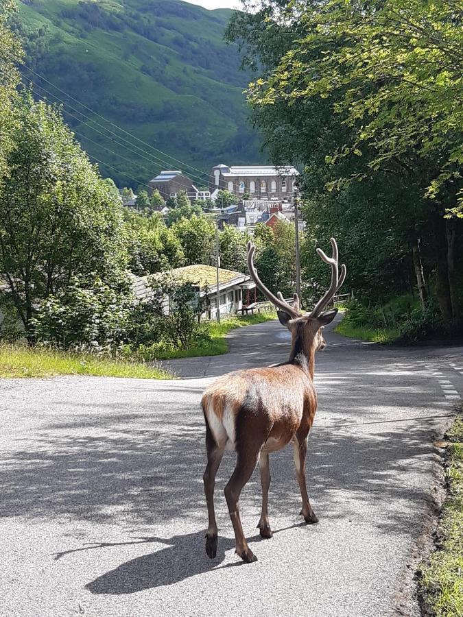 Etive Pod, West Highland Way Holidays Kinlochleven Luaran gambar